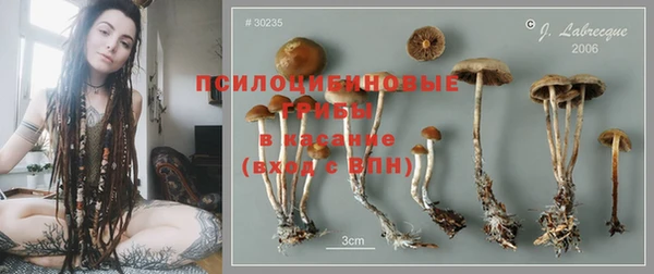 мяу мяу кристалл Аркадак