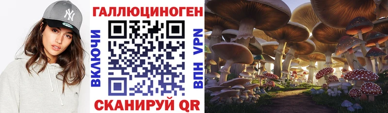 Псилоцибиновые грибы Cubensis  наркота  Спасск-Рязанский 